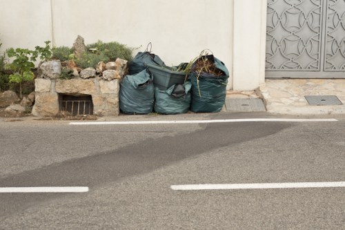 Professional clearing garden debris
